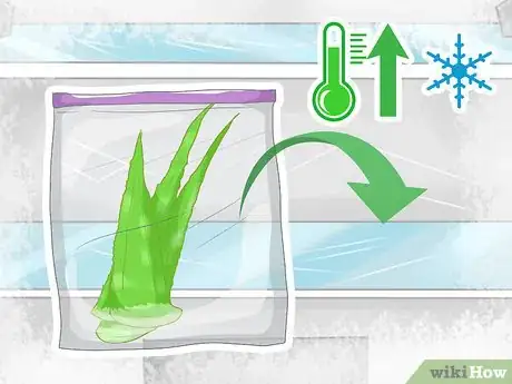 Immagine titolata Store Aloe Leaves Step 2