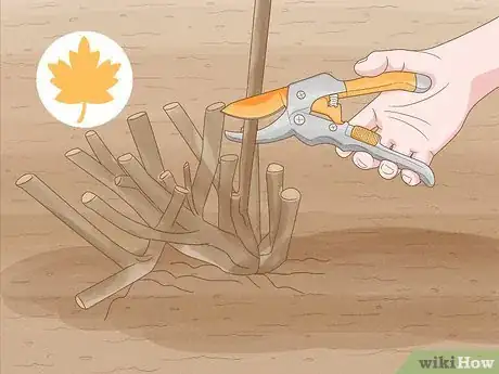 Immagine titolata Plant Peonies Step 21