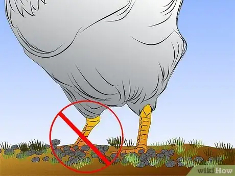 Immagine titolata Worm Chickens Step 13