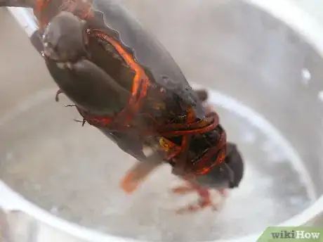 Immagine titolata Prepare Crabs Step 2