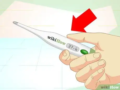 Immagine titolata Check a Cat's Temperature Step 1