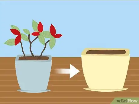 Immagine titolata Care for Poinsettias Step 15