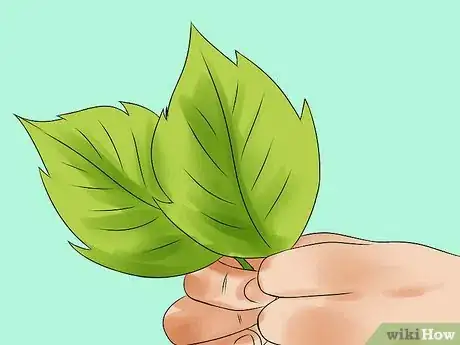 Immagine titolata Build a Still Step 12