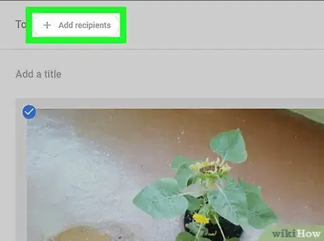 Immagine titolata Create Collaborative Albums in Google Photos Step 13