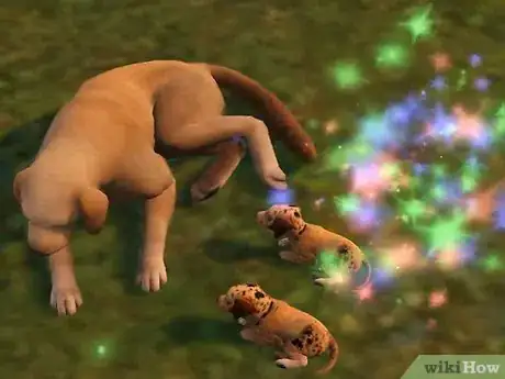 Immagine titolata Breed Your Pets on the Sims 3 Pets (Pc) Step 2