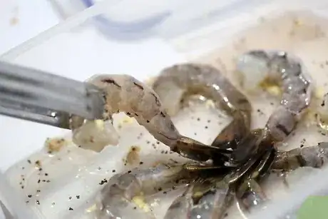 Immagine titolata Steam Shrimp Step 15Bullet2