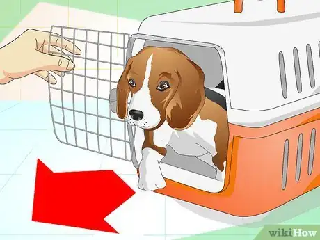 Immagine titolata Keep Your Dog Calm Outside His Crate Step 12