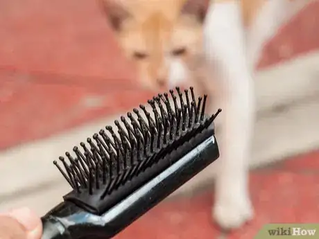 Immagine titolata Brush a Cat Step 3