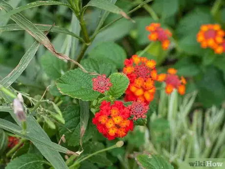 Immagine titolata Make Floral Craft Arrangements Step 12