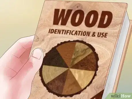 Immagine titolata Identify Wood Step 14