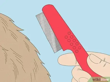 Immagine titolata Treat Flea Bites on Dogs Step 4