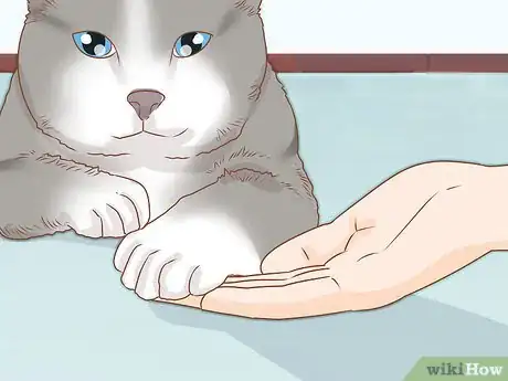 Immagine titolata Trim Your Cat's Nails Step 2