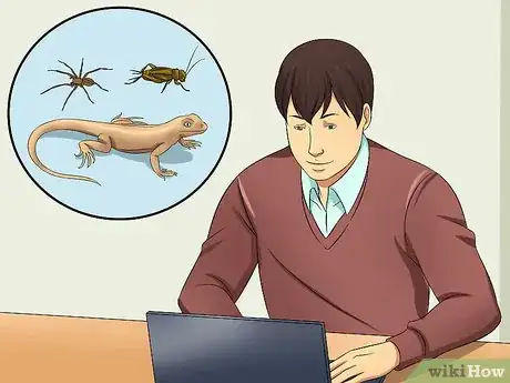 Immagine titolata Catch a Lizard Without Using Your Hands Step 7