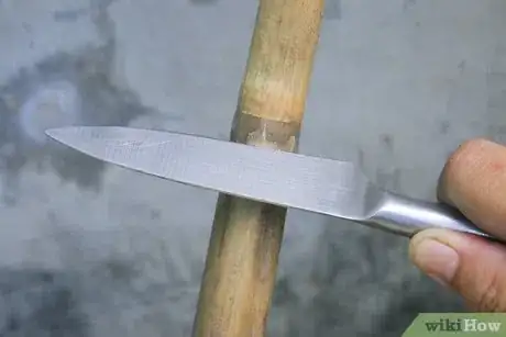 Immagine titolata Make a Homemade Fishing Rod Step 2