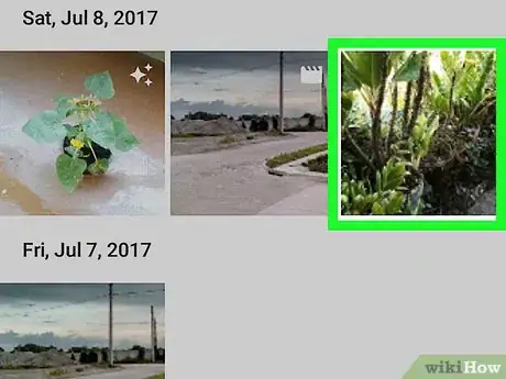 Immagine titolata Edit Google Photos on Android Step 3