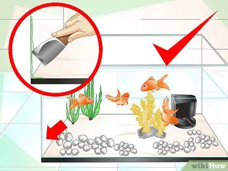 Immagine titolata Keep Aquarium Water Clear Step 14