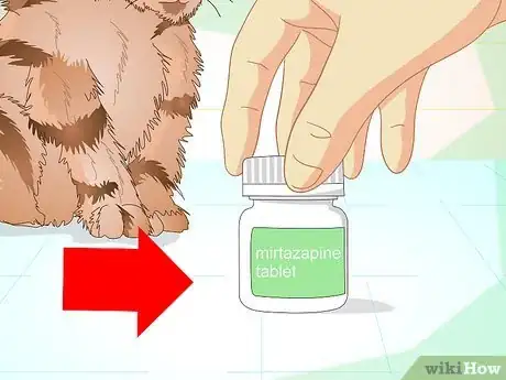 Immagine titolata Get a Sick Kitten to Eat Step 19