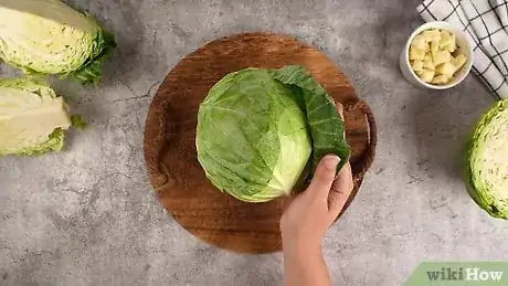 Immagine titolata Select and Store Cabbage Step 4