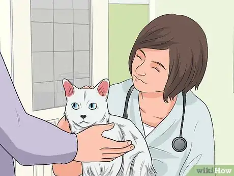 Immagine titolata Get Your Cat to Sleep With You Step 8