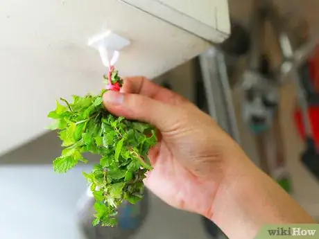 Immagine titolata Make Mint Tea Step 15