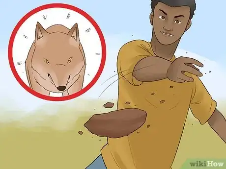 Immagine titolata Survive a Coyote Attack Step 10