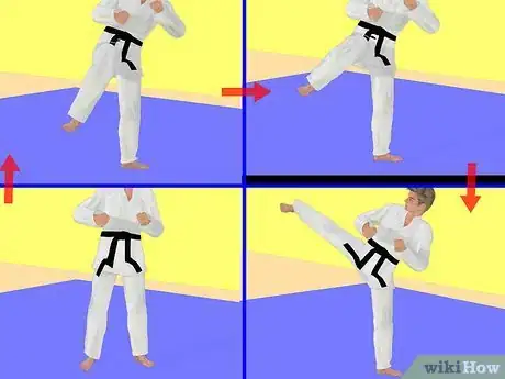 Immagine titolata Do A Side Kick Step 13