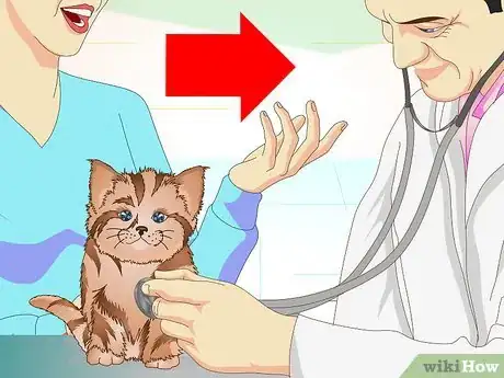 Immagine titolata Get a Sick Kitten to Eat Step 18