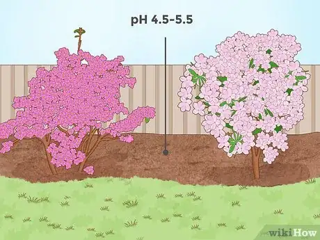 Immagine titolata Lower Soil pH Step 12