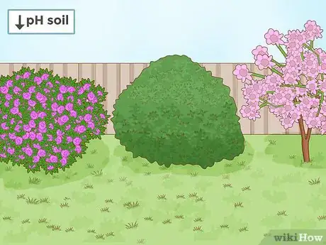 Immagine titolata Lower Soil pH Step 11