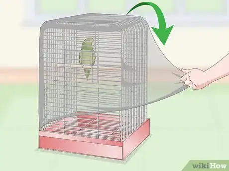 Immagine titolata Set Up a Parrotlet Cage Step 10