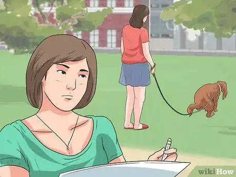 Immagine titolata Train Cavalier King Charles Spaniels Step 2