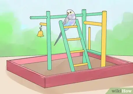 Immagine titolata Amuse Your Parakeet or Other Bird Step 16