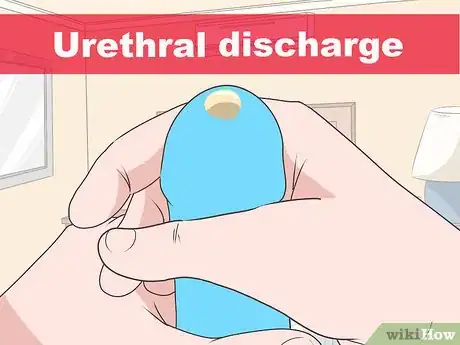 Immagine titolata Know if You Have Epididymitis Step 4