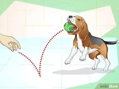 Immagine titolata Keep Your Dog Calm Outside His Crate Step 5