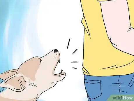 Immagine titolata Introduce Your Baby to Your Dog Step 3