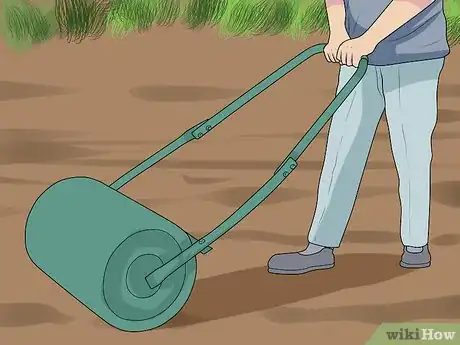 Immagine titolata Sow Grass Seed Step 5