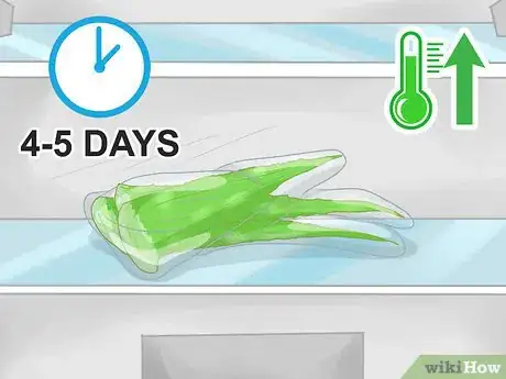 Immagine titolata Store Aloe Leaves Step 1
