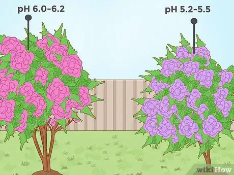 Immagine titolata Lower Soil pH Step 13