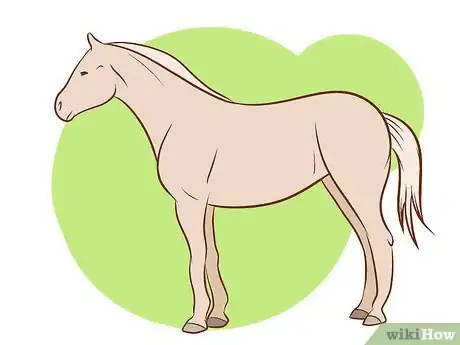 Immagine titolata Distinguish Horse Color by Name Step 3Bullet1