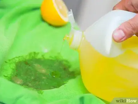 Immagine titolata Remove Vomit Stains from Clothing Step 6