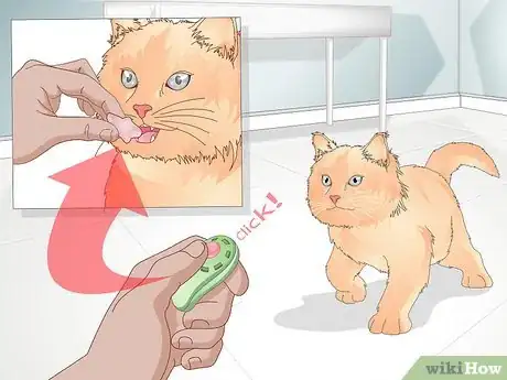 Immagine titolata Teach Your Cat to Give a Handshake Step 4