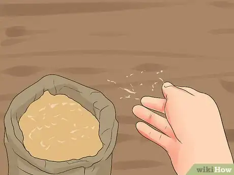 Immagine titolata Sow Grass Seed Step 6