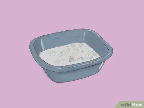 Immagine titolata Get Rid of Chicken Mites Step 2