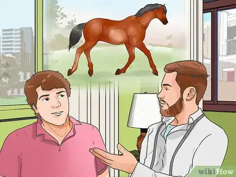 Immagine titolata Tell if Your Horse Needs Hock Injections Step 18