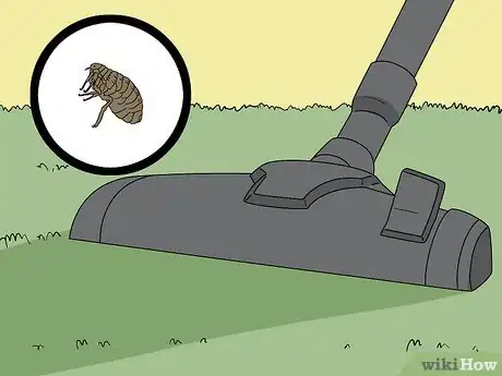 Immagine titolata Do Pest Control With a Vacuum Cleaner Step 10