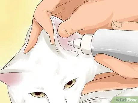 Immagine titolata Get Rid of Ear Mites in a Cat Step 10