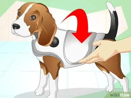 Immagine titolata Keep Your Dog Calm Outside His Crate Step 8