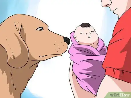 Immagine titolata Introduce Your Baby to Your Dog Step 14