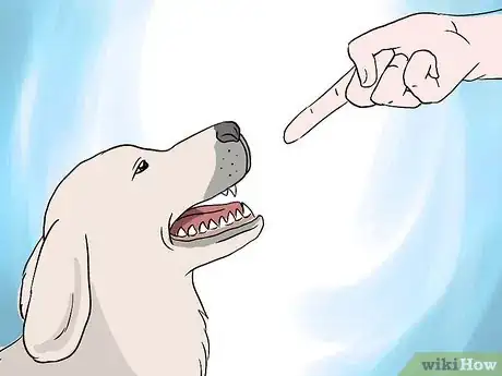 Immagine titolata Introduce Your Baby to Your Dog Step 20Bullet1