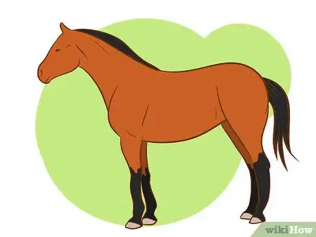 Immagine titolata Distinguish Horse Color by Name Step 2Bullet1